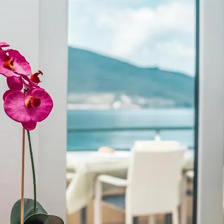 Apartments Batricevic Herceg Novi Exterior photo