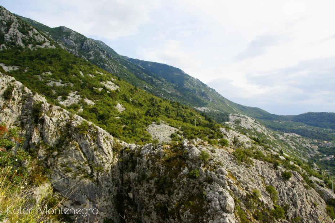 Batricevic * Herceg Novi